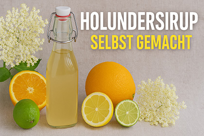 🌼 Jetzt blüht der Holunder – Zeit für selbstgemachten Sirup! 🌞